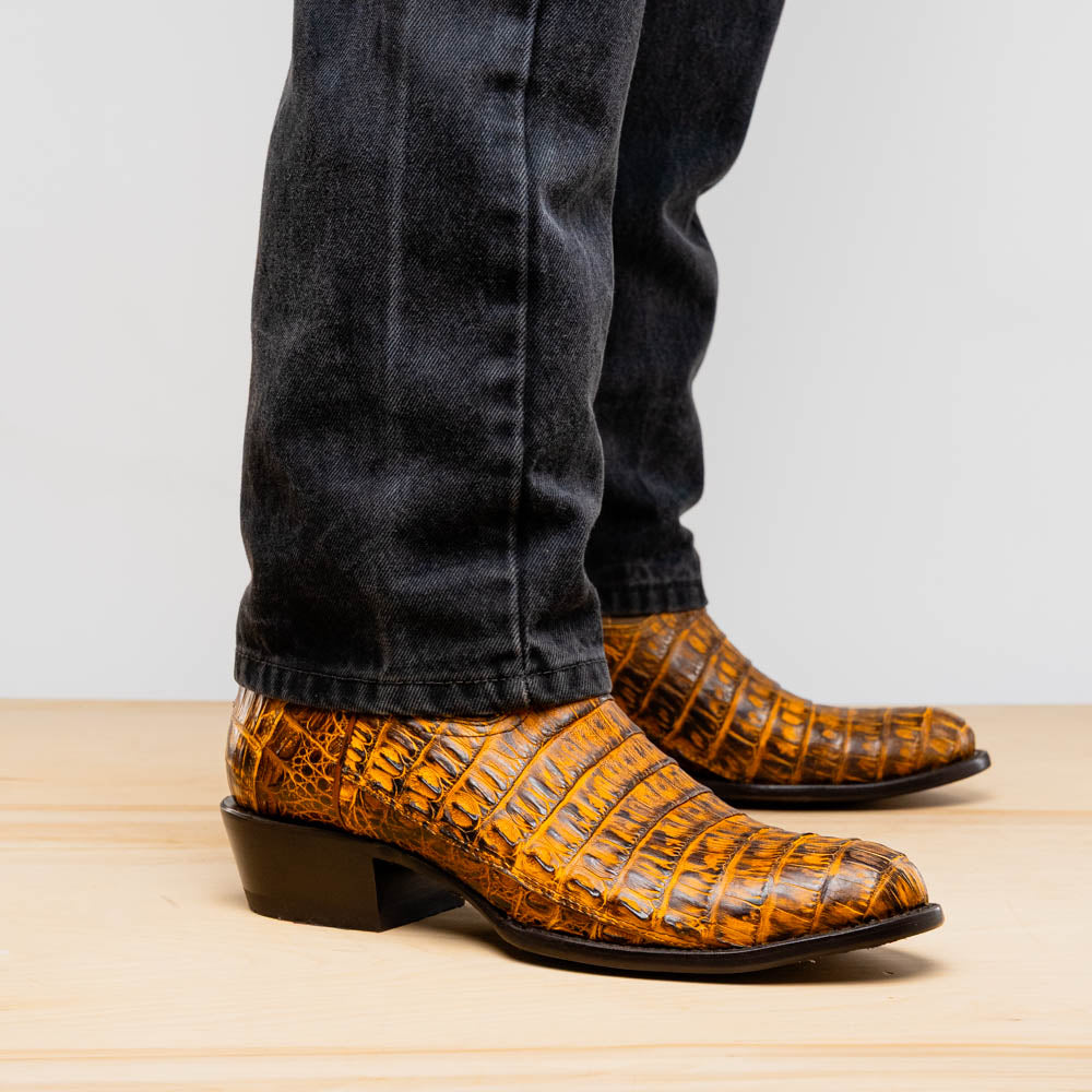 Phoenix Mustard Brown Marco Di Milano