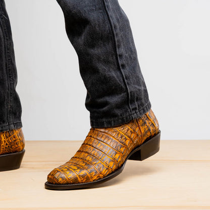 Phoenix Mustard Brown Marco Di Milano