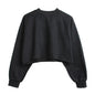 Thick Cotton Women Sweatshirt Hoodie Casual Loose Long Sleeve Streetwear Crop Pullover