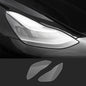 Protection Film For Telsa Model 3/Y Tesery Official Store