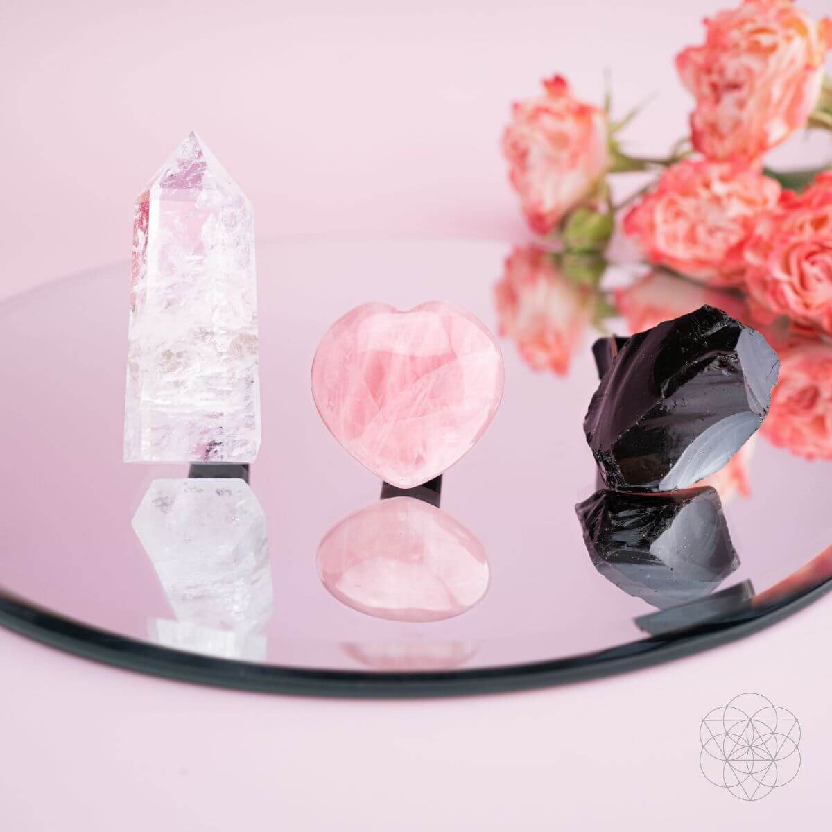 Protective Bundle (Best Sellers) Conscious Items
