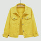 Women's New Spring Denim Jacket