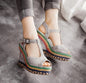 Thick-Soled Women's High Heel Wedge Sandals