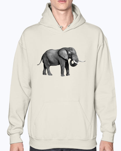 Grazing African Elephant, Moss Apparel, Unisex Hoodie Moss Apparel