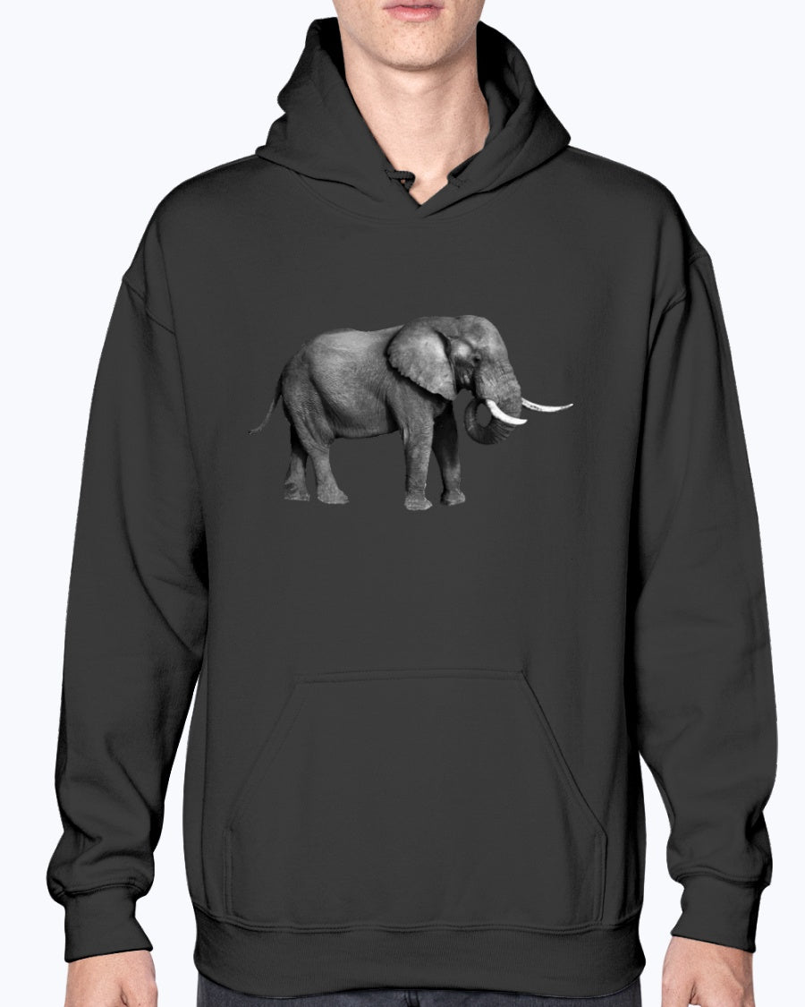 Grazing African Elephant, Moss Apparel, Unisex Hoodie Moss Apparel