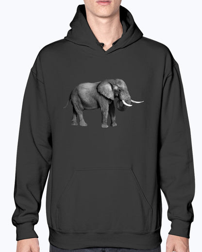 Grazing African Elephant, Moss Apparel, Unisex Hoodie Moss Apparel
