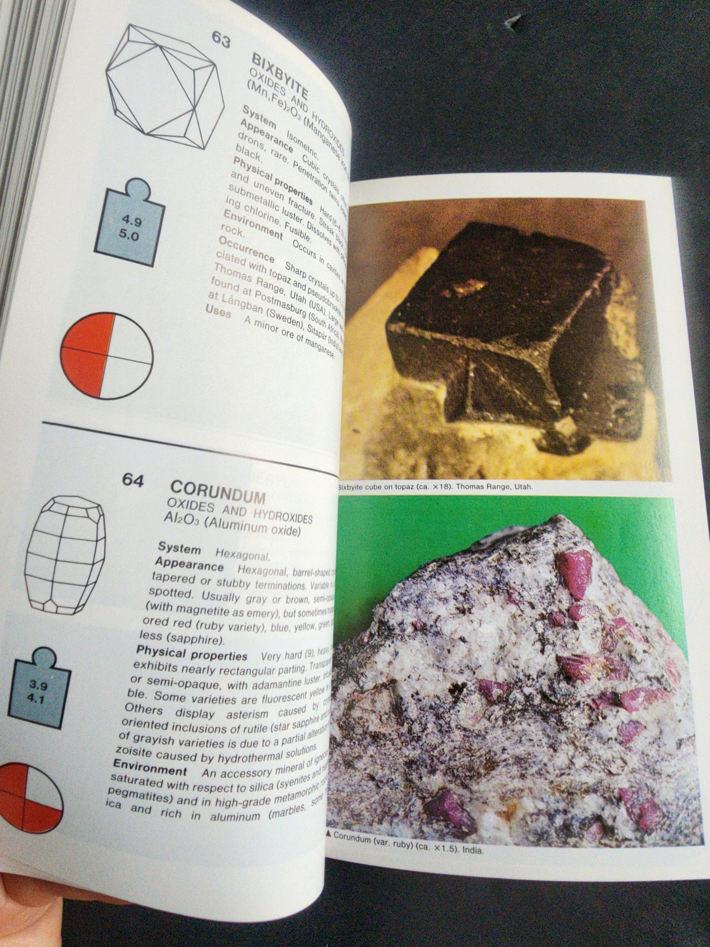 Simon & Schuster's Guide to Rocks and Minerals Softcover Book Tennessee Junk Trunk