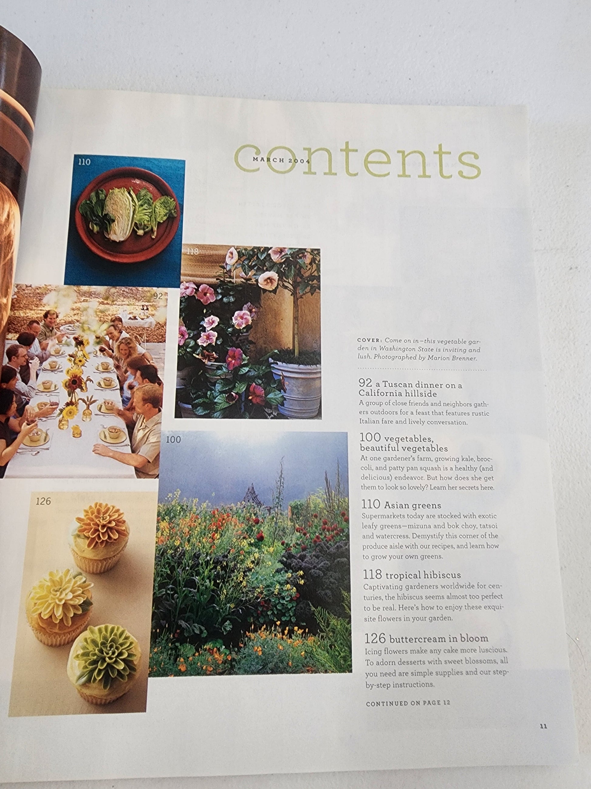 Martha Stewart Living Magazine March 2004 The Gardening Issue Tennessee Junk Trunk