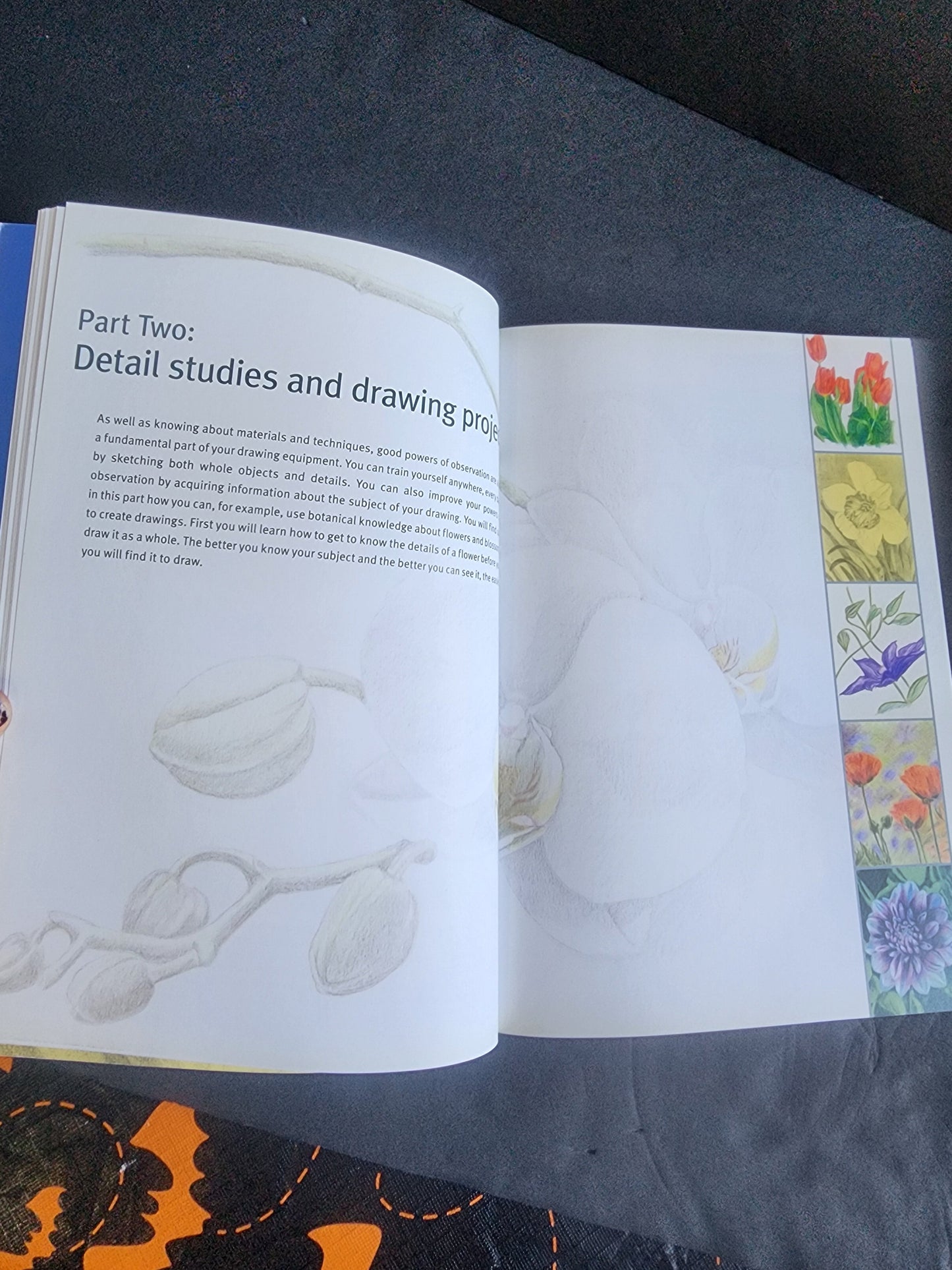 Draw Flowers using pencils, pastels, crayons and charcoal paperback Annie Pieper softcover book Tennessee Junk Trunk