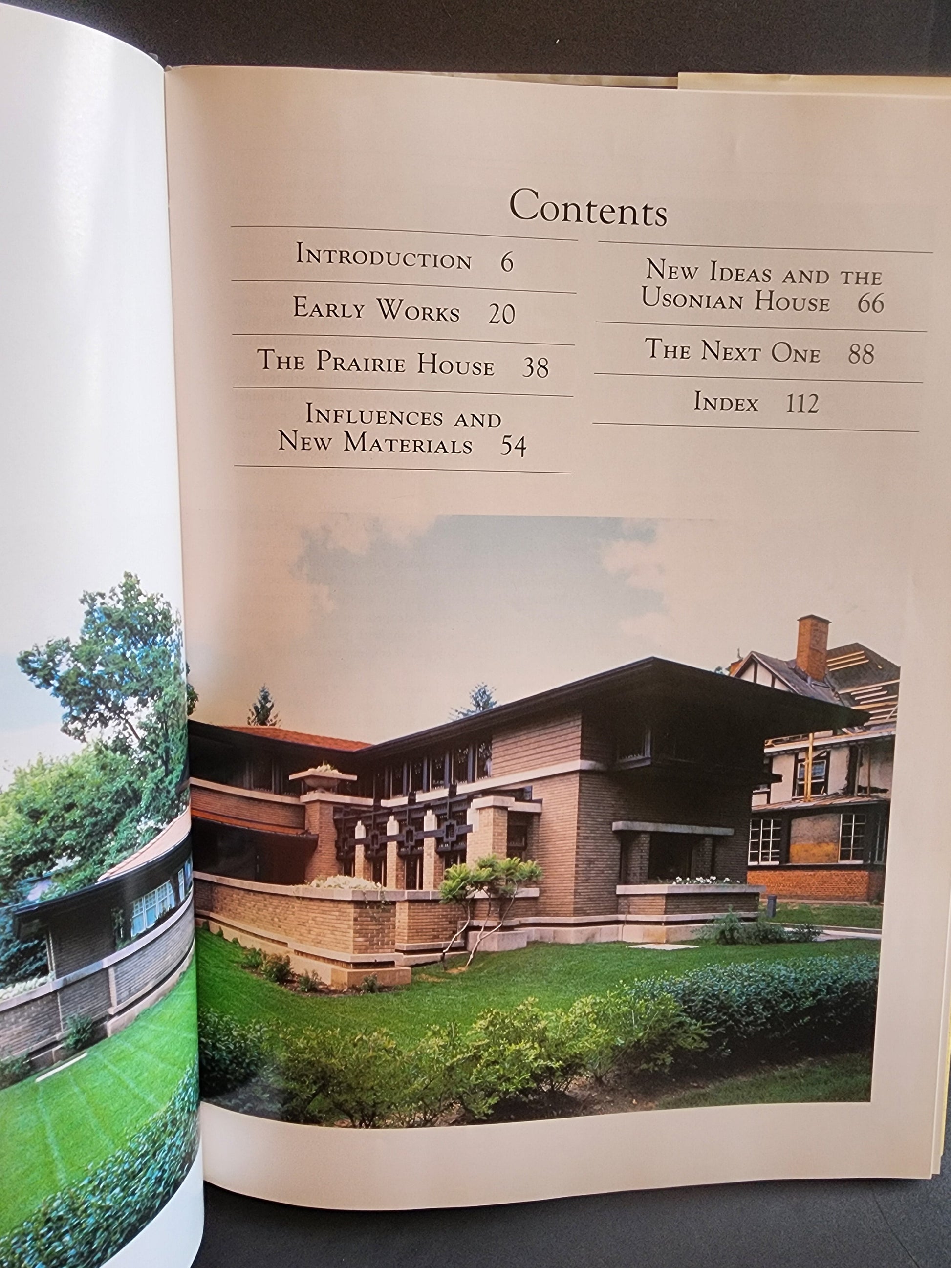 Frank Lloyd Wright Hardcover Book Maria Costantino Architecture Photos Fallingwater 1991 Tennessee Junk Trunk