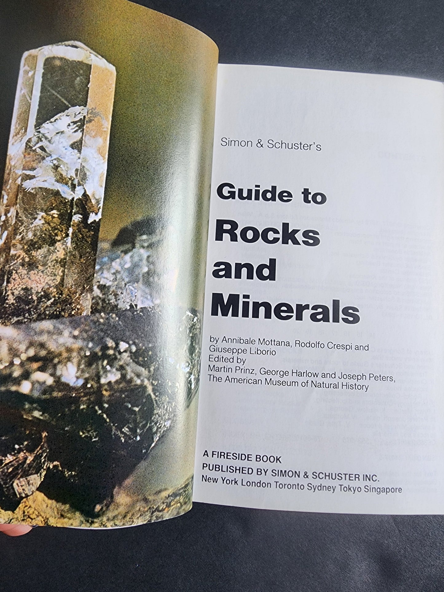 Simon & Schuster's Guide to Rocks and Minerals Softcover Book Tennessee Junk Trunk