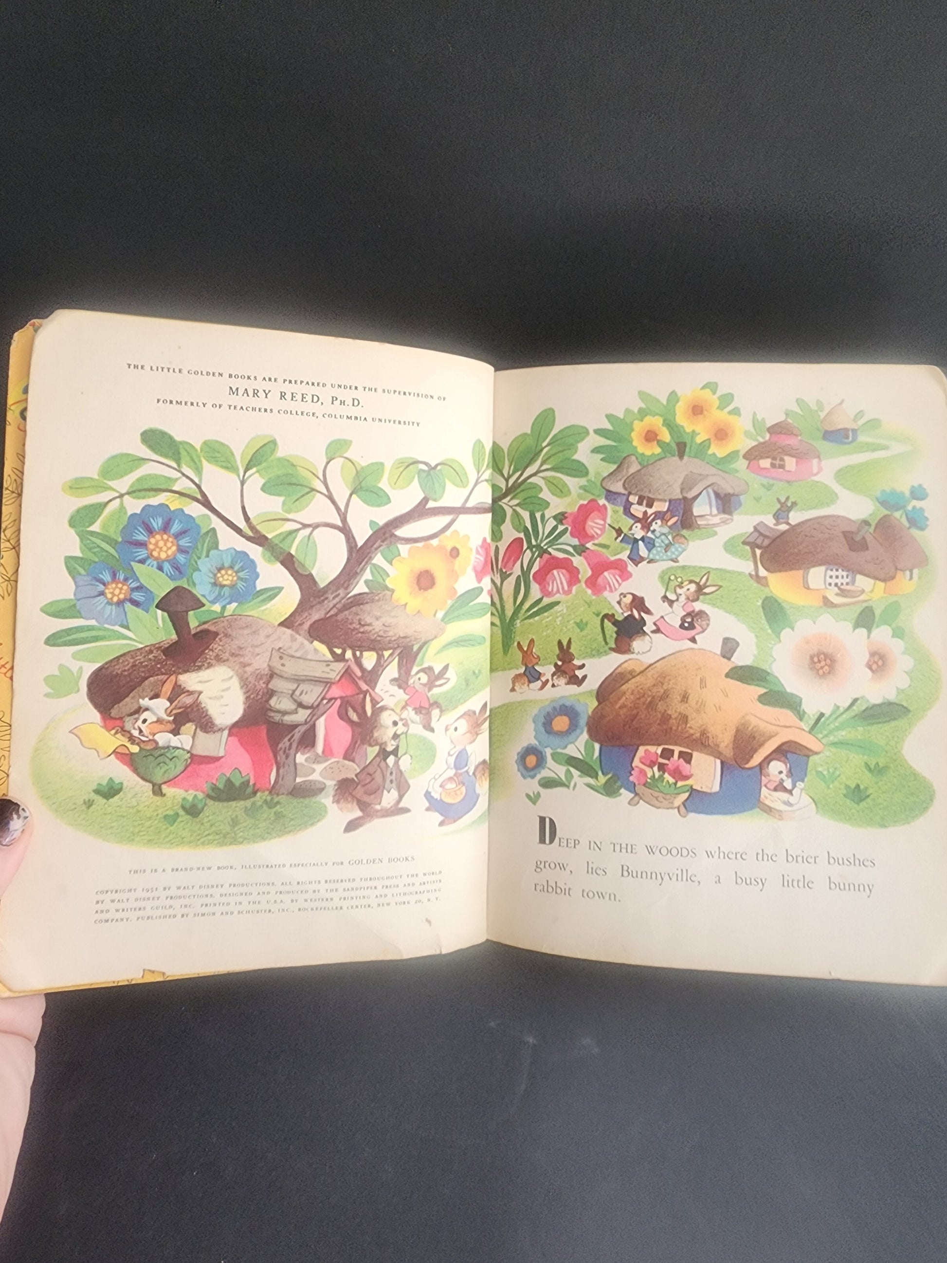 Little Golden Book Grandpa Bunny First Edition A 1951 Tennessee Junk Trunk