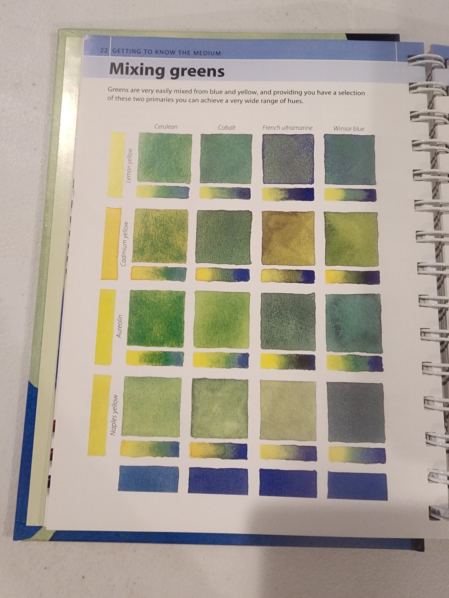 Artist's Bibles Ser.: The Watercolor Artist's Bible by Marylin Scott (2009,... Tennessee Junk Trunk