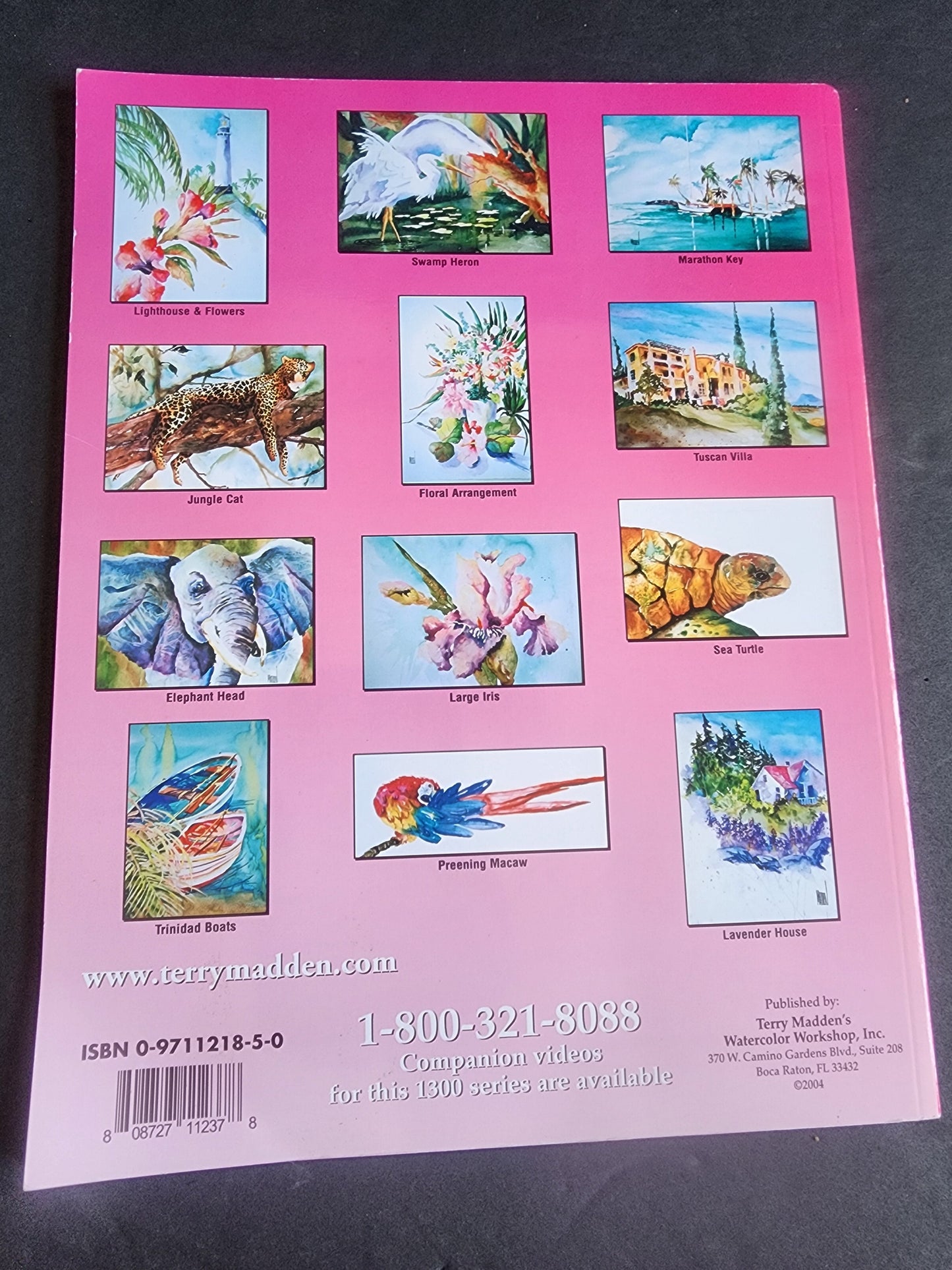 Terry Madden s Wonderful World of Watercolor - 1200 Series - Volume 2, pb book Tennessee Junk Trunk
