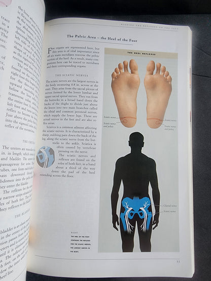 Complete Illustrated Guide to Reflexology  Foot Massage for Health Book Tennessee Junk Trunk