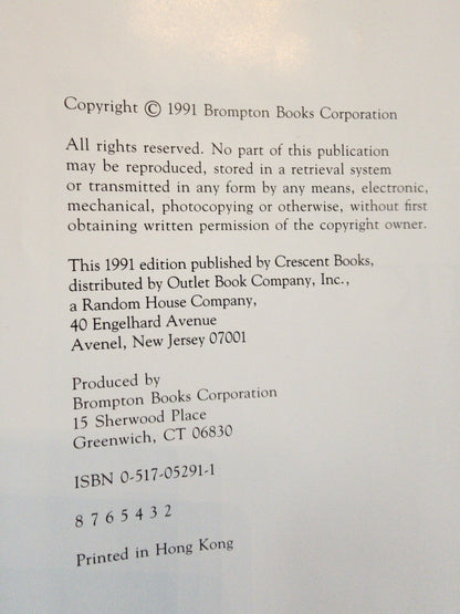 Frank Lloyd Wright Hardcover Book Maria Costantino Architecture Photos Fallingwater 1991 Tennessee Junk Trunk