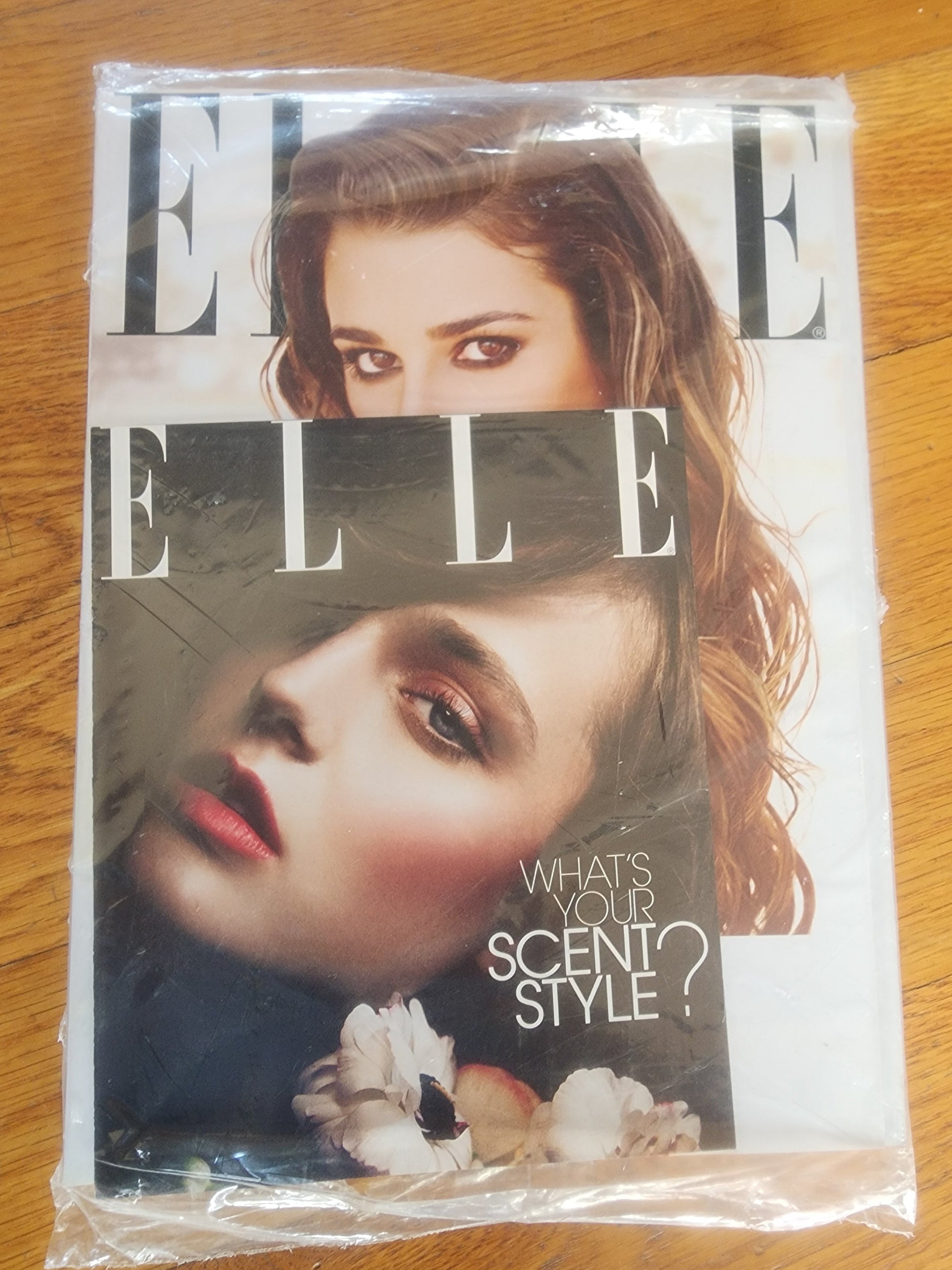 ELLE December 2013 Lea Michele cover SEALED issue + Ava Smith + Margot Robbie Tennessee Junk Trunk