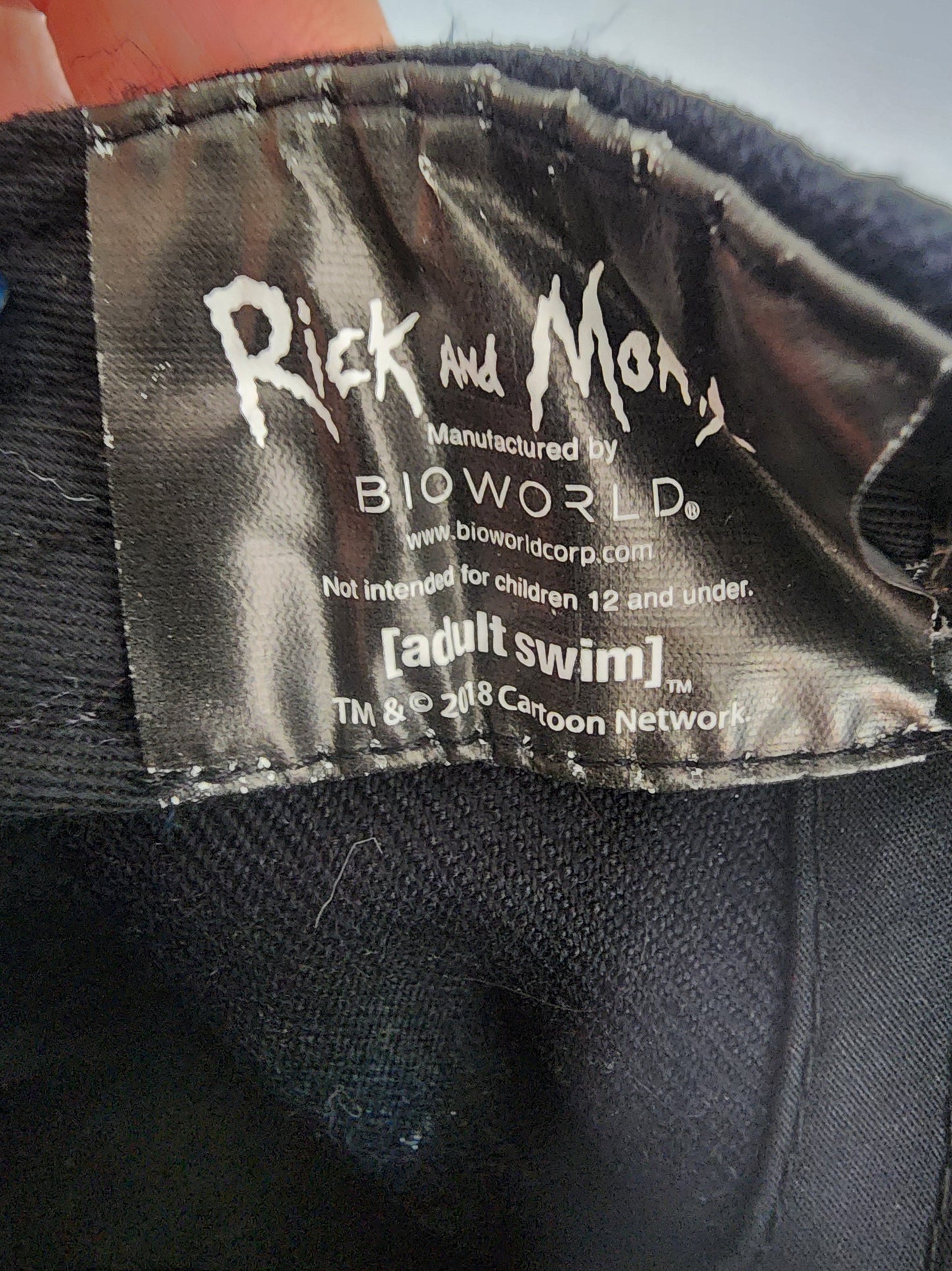 Rick & Morty Pickle Rick Snapback adjustable Hat Adult Swim Cartoon Network Bioworld in good condition never worn, mainly shelf wear. Tennessee Junk Trunk