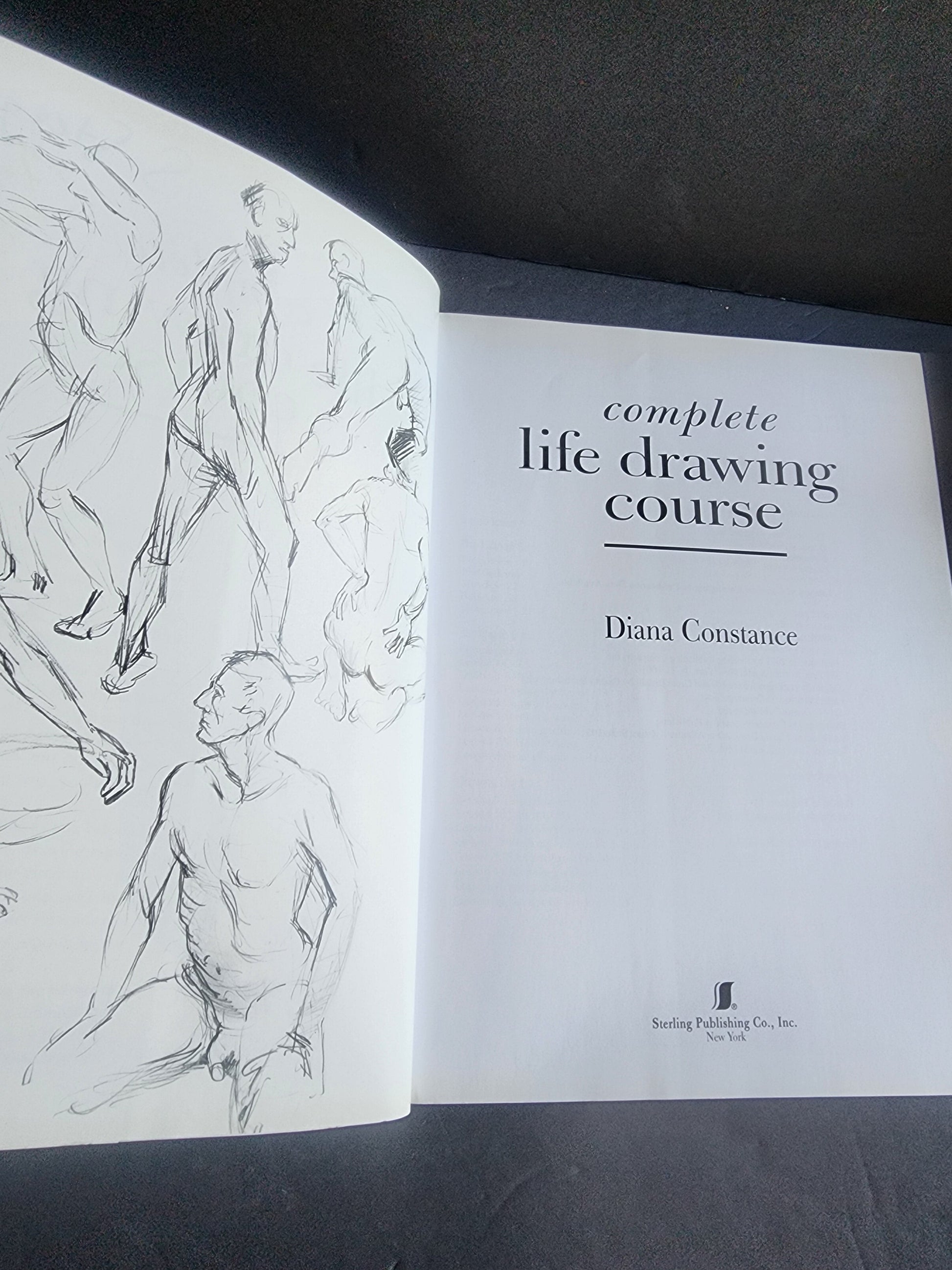 Complete Life Drawing Course by Diana Constance - Learn Figure Drawing & Anatomy Tennessee Junk Trunk