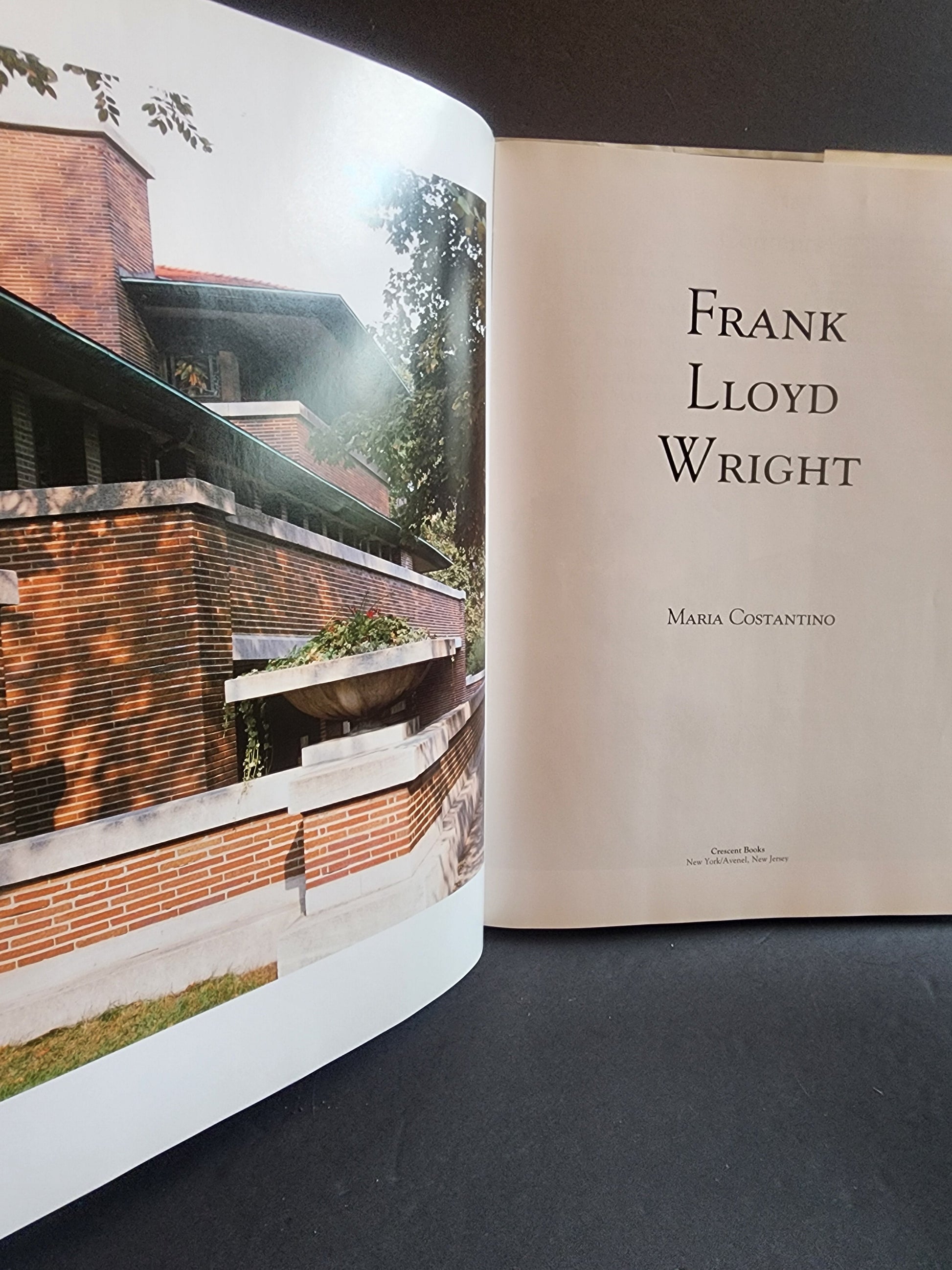 Frank Lloyd Wright Hardcover Book Maria Costantino Architecture Photos Fallingwater 1991 Tennessee Junk Trunk