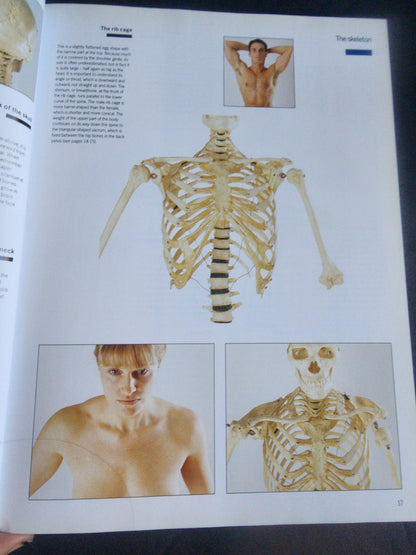 Complete Life Drawing Course by Diana Constance - Learn Figure Drawing & Anatomy Tennessee Junk Trunk