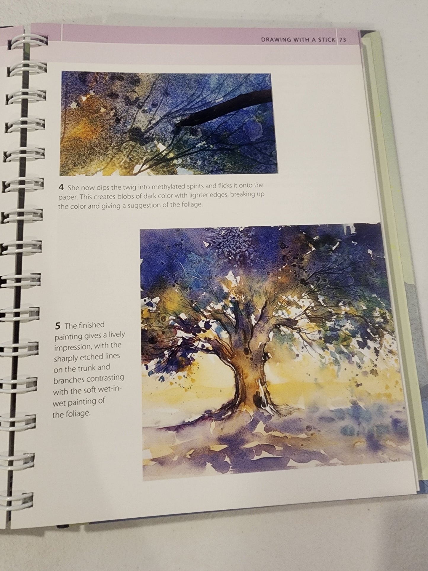 Artist's Bibles Ser.: The Watercolor Artist's Bible by Marylin Scott (2009,... Tennessee Junk Trunk