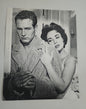 Paul Newman, Elizabeth Taylor, CAT ON A HOT TIN ROOF, 1958 photo.  8"x10" Tennessee Junk Trunk