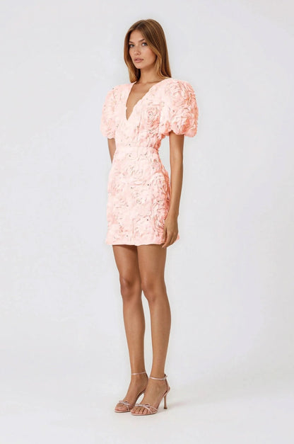 Rosella 3D Mini Dress – Pink XO, Tina