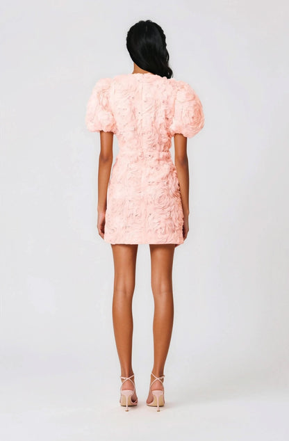 Rosella 3D Mini Dress – Pink XO, Tina