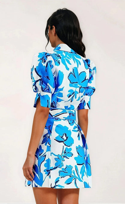 Sapphira Mini Dress – Print XO, Tina