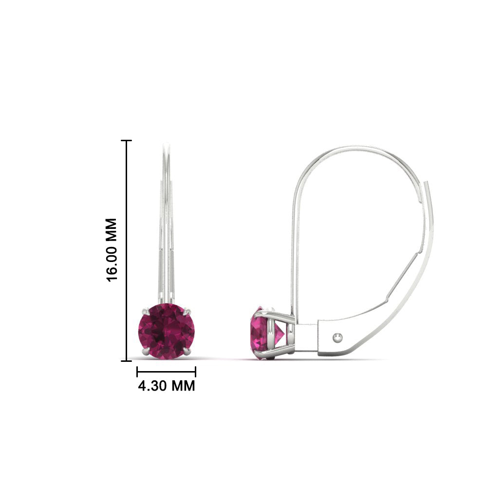 Small Round Diamond Studs Lever Back Earring Fascinating Diamonds