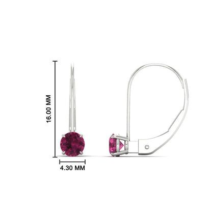 Small Round Diamond Studs Lever Back Earring Fascinating Diamonds