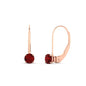 Small Round Diamond Studs Lever Back Earring Fascinating Diamonds