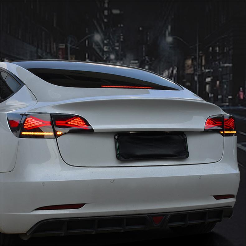 TESERY X-treme Tail Light for Model 3/Y Tesery Official Store