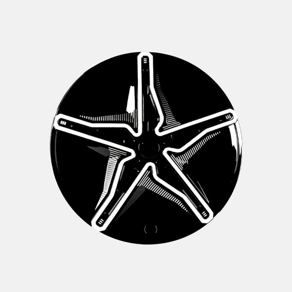 Starfish Style ABS Hubcaps for Model 3/Y | 18"/19" | 4-Piece Set | 2 Colors | Full Edge Coverage | Snap-On Install Tesery Official Store