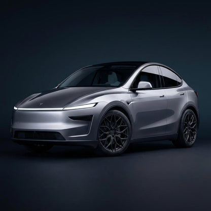 TESERY Apex Spider-Y Forged wheels for retrofitting Tesla Model 3/Y/S Tesery Official Store