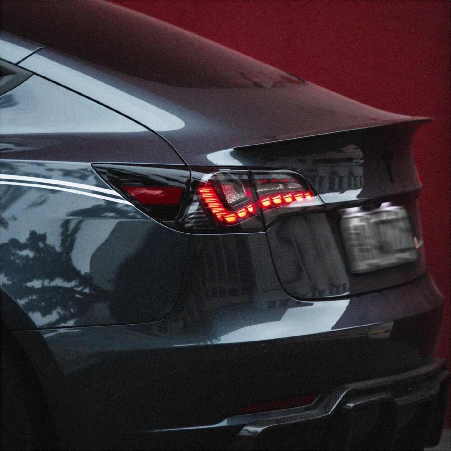TESERY Dragon Scale Tail Lights for Model 3/Y Tesery Official Store