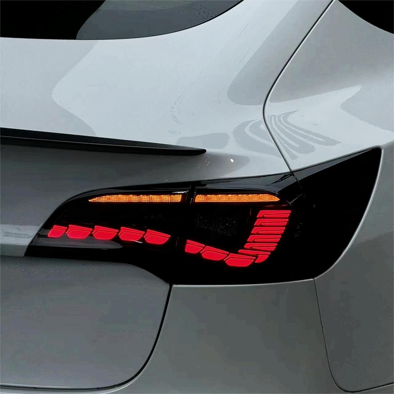 TESERY Dragon Scale Tail Lights for Model 3/Y Tesery Official Store