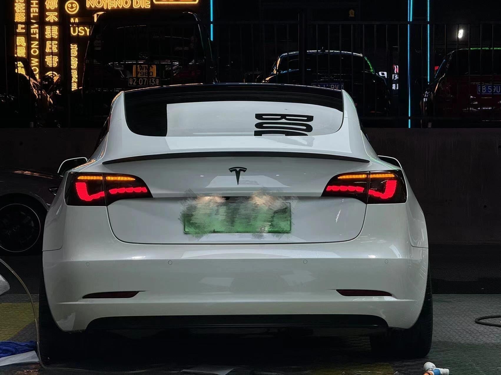 TESERY Dragon Scale Tail Lights for Model 3/Y Tesery Official Store