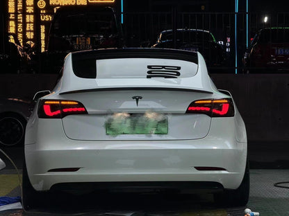 TESERY Dragon Scale Tail Lights for Model 3/Y Tesery Official Store