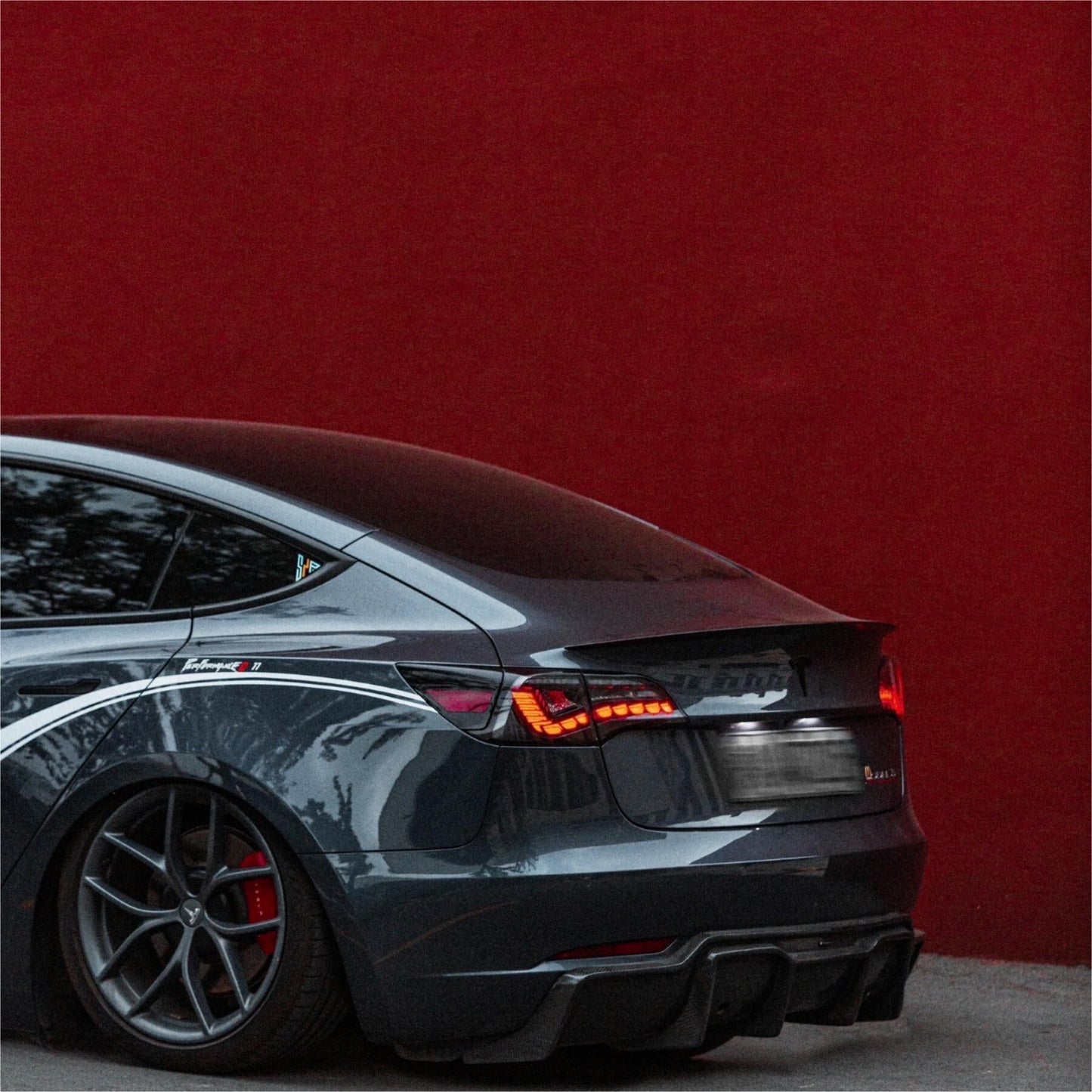 TESERY Dragon Scale Tail Lights for Model 3/Y Tesery Official Store