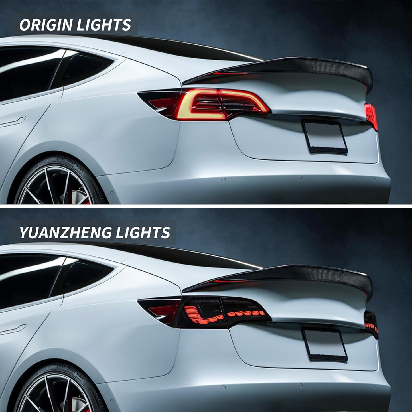 TESERY Dragon Scale Tail Lights for Model 3/Y Tesery Official Store