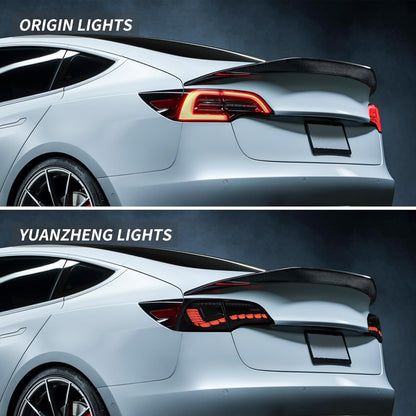 TESERY Dragon Scale Tail Lights for Model 3/Y Tesery Official Store