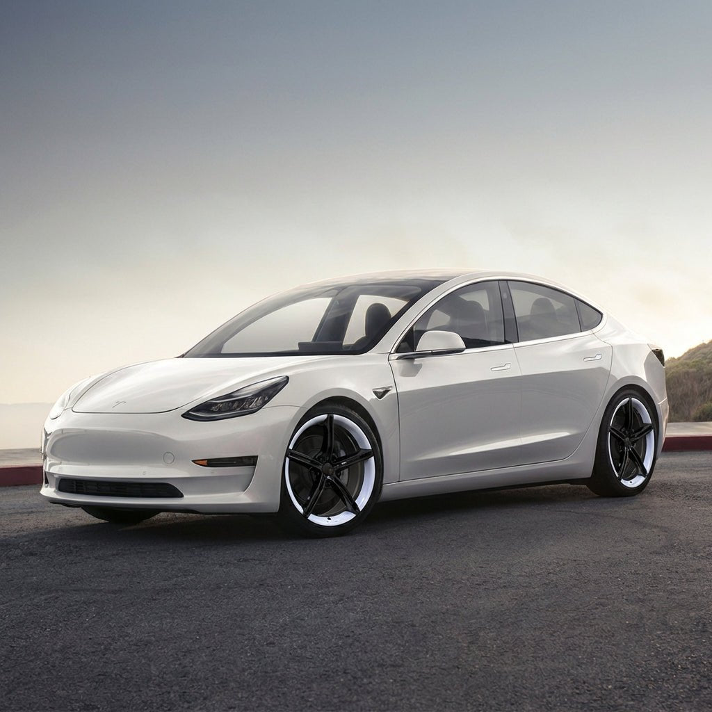Tesery Dual-Aura Forged wheels for Tesla Model 3/S/Y Tesery Official Store