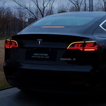 TESERY OLED APP-Controlled Tail Light for Model 3/Y Tesery Official Store
