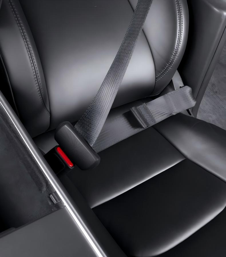 TESERY Seat Belt Buckle Cover Set for Tesla Model 3 / Model Y Tesery Official Store