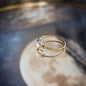 The Lunar Ring of Power Conscious Items