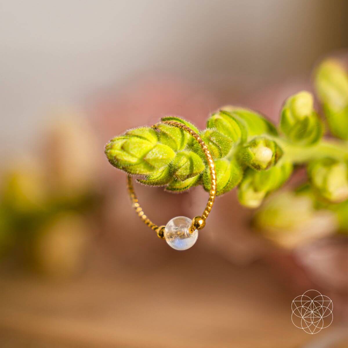 The Lunar Ring of Power Conscious Items