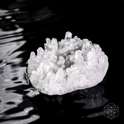 The Purification Lamp Conscious Items