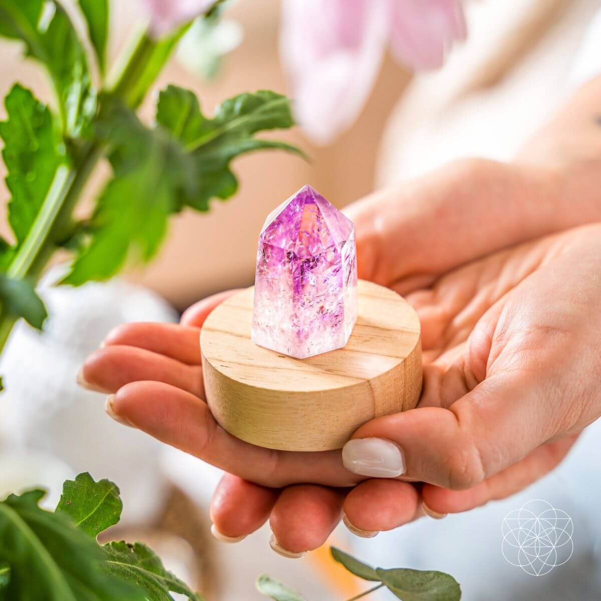 The Serenity Lamp Conscious Items